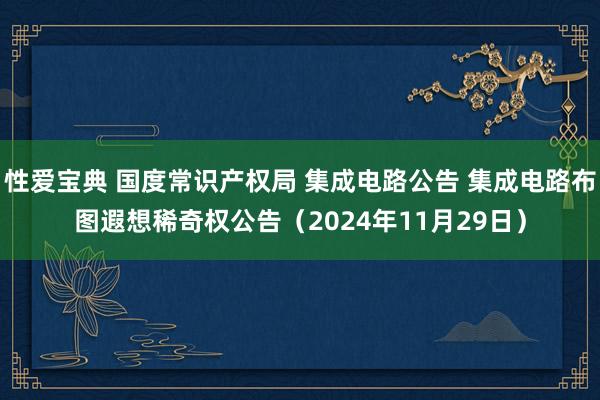 性爱宝典 国度常识产权局 集成电路公告 集成电路布图遐想稀奇权公告（2024年11月29日）