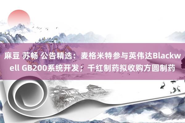 麻豆 苏畅 公告精选：麦格米特参与英伟达Blackwell GB200系统开发；千红制药拟收购方圆制药