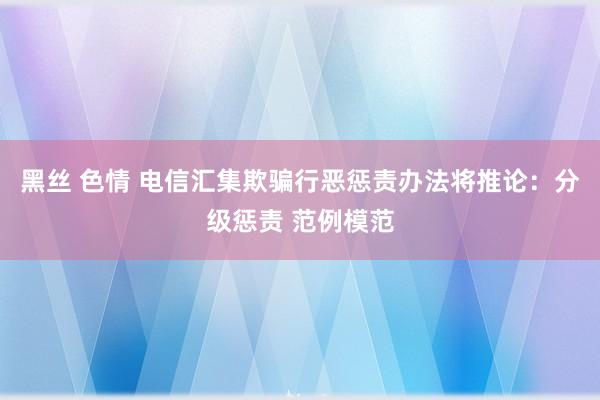 黑丝 色情 电信汇集欺骗行恶惩责办法将推论：分级惩责 范例模范