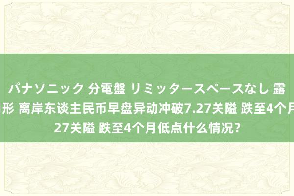 パナソニック 分電盤 リミッタースペースなし 露出・半埋込両用形 离岸东谈主民币早盘异动冲破7.27关隘 跌至4个月低点什么情况？